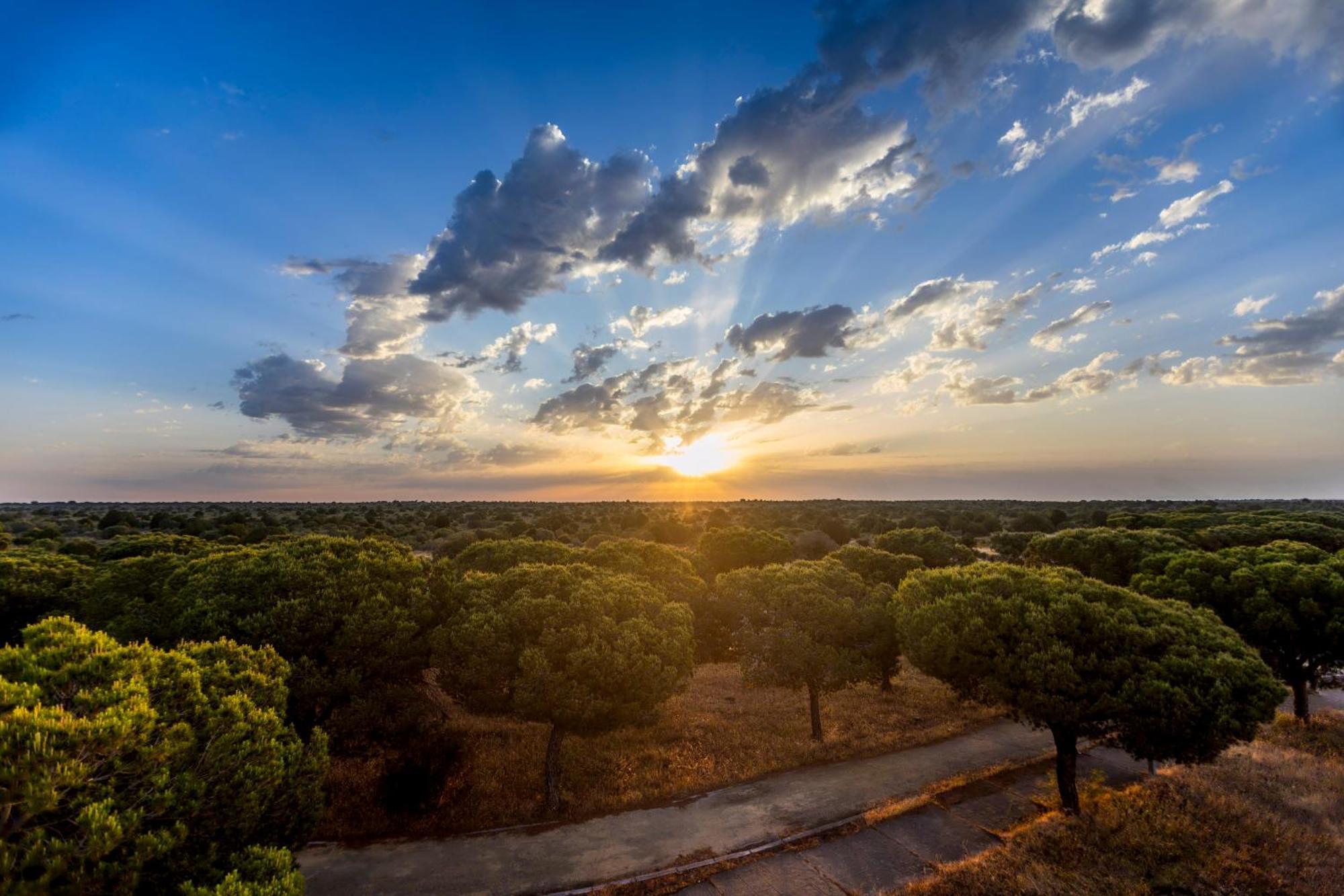 Moon Dreams El Cortijo Hotel