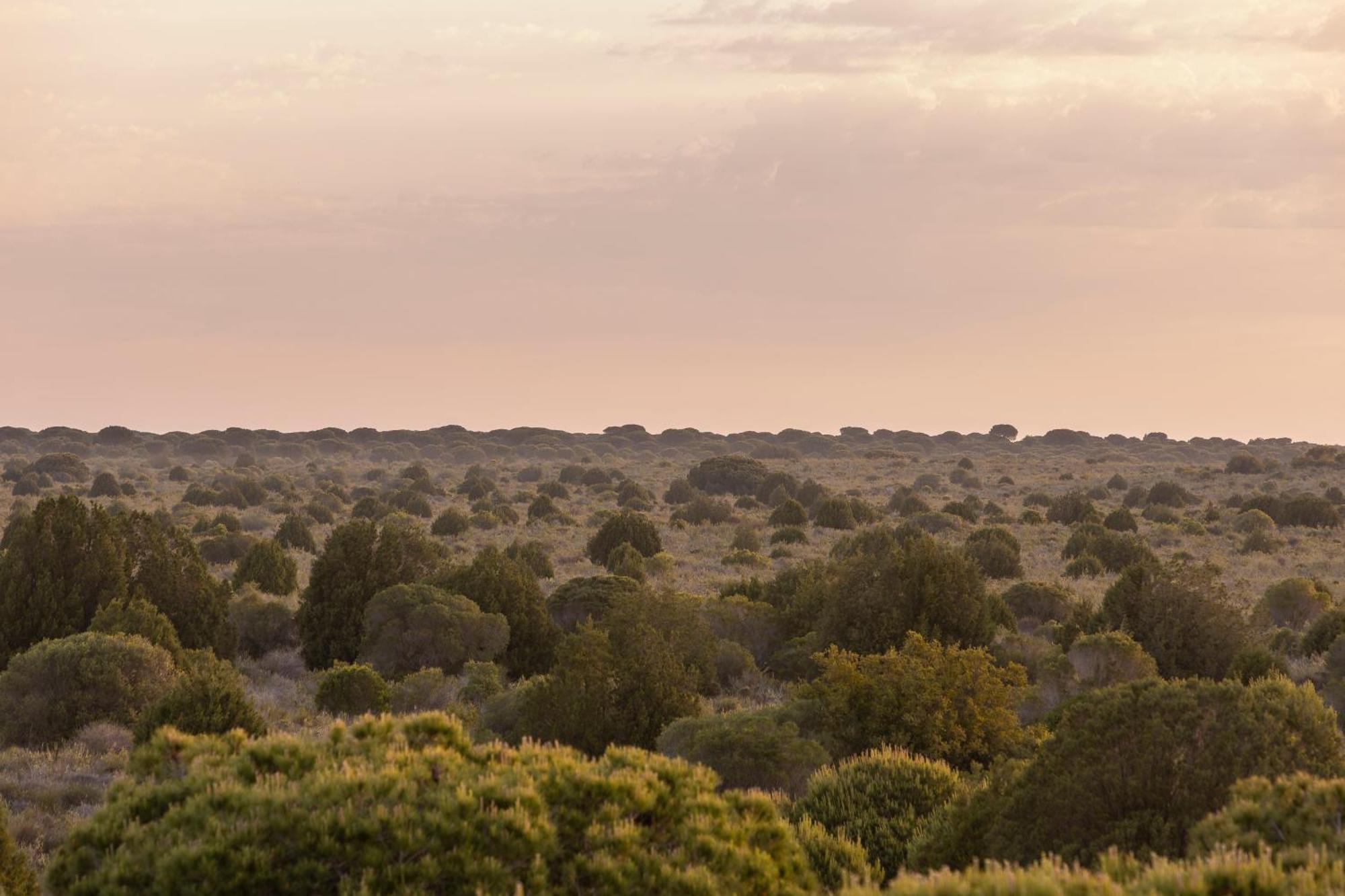 Hotel Moon Dreams El Cortijo
