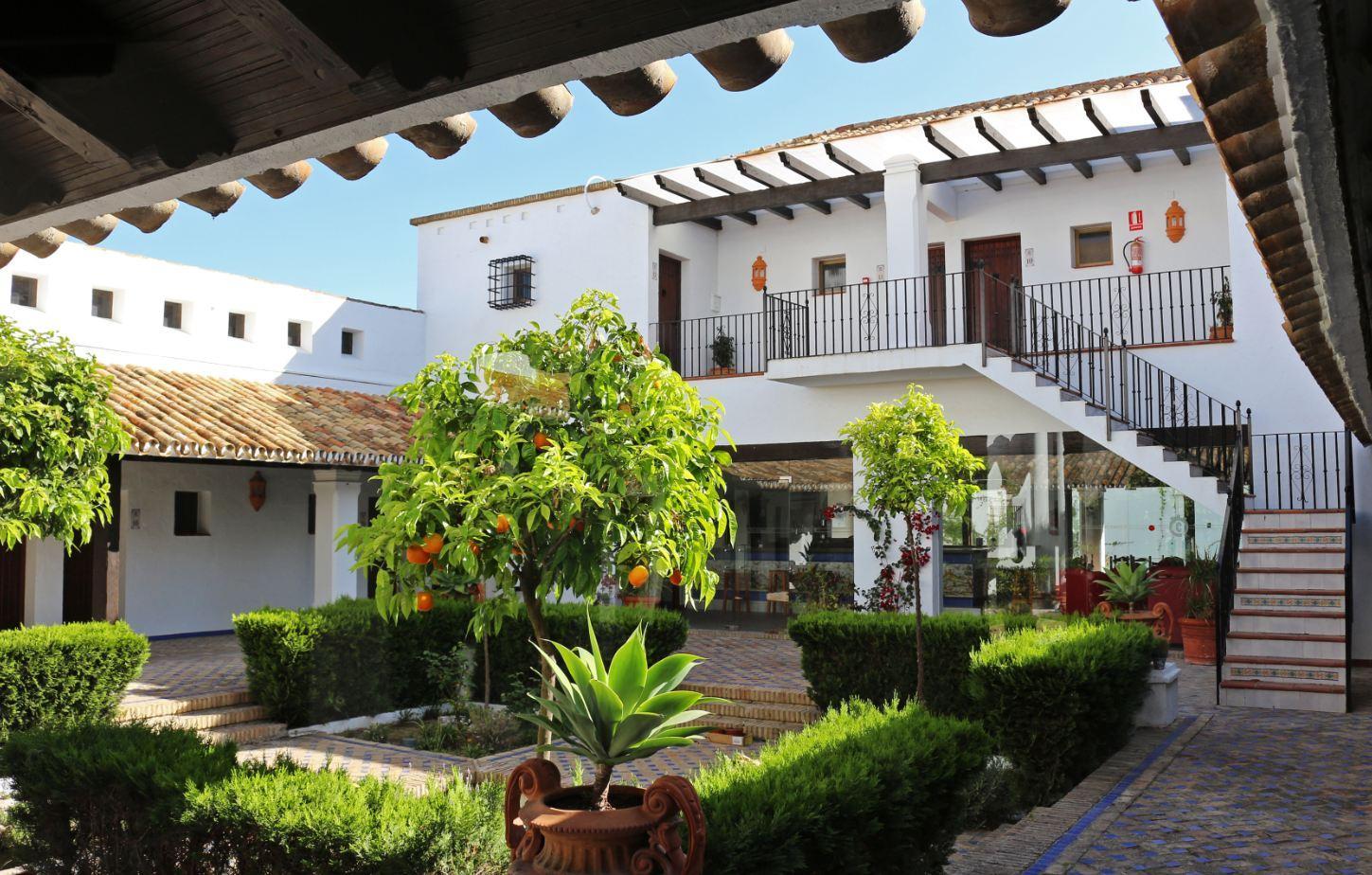 Hotel Moon Dreams El Cortijo Matalascanas